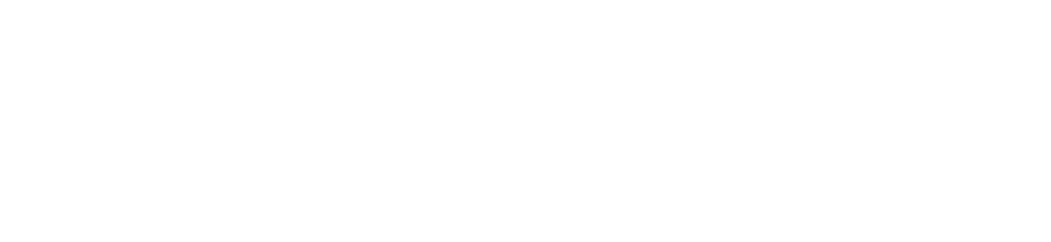 dealerware plus